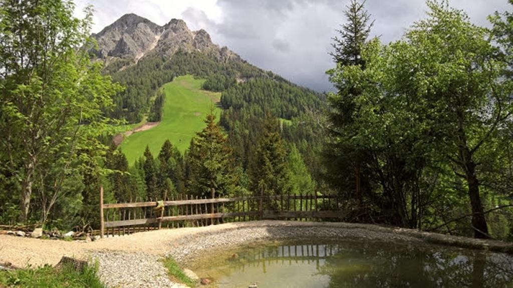 Alpine Hotel Gran Foda' San Vigilio Di Marebbe Bagian luar foto